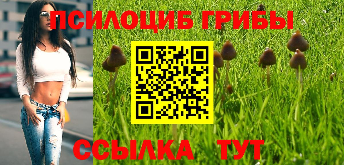 Псилоцибиновые грибы прущие грибы Усть-Илимск
