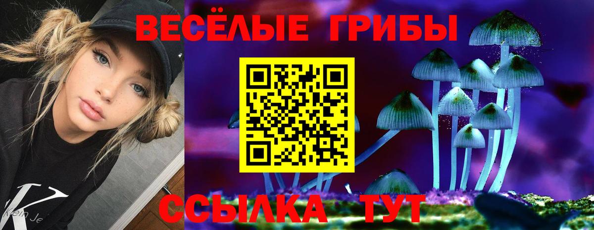 Псилоцибиновые грибы прущие грибы  Галлюциногенные грибы GOLDEN TEACHER  Вход с VPN  Усть-Илимск 