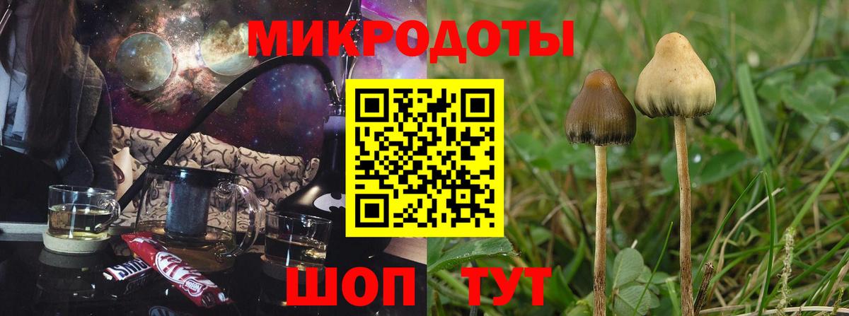 Псилоцибиновые грибы MAGIC MUSHROOMS Усть-Илимск