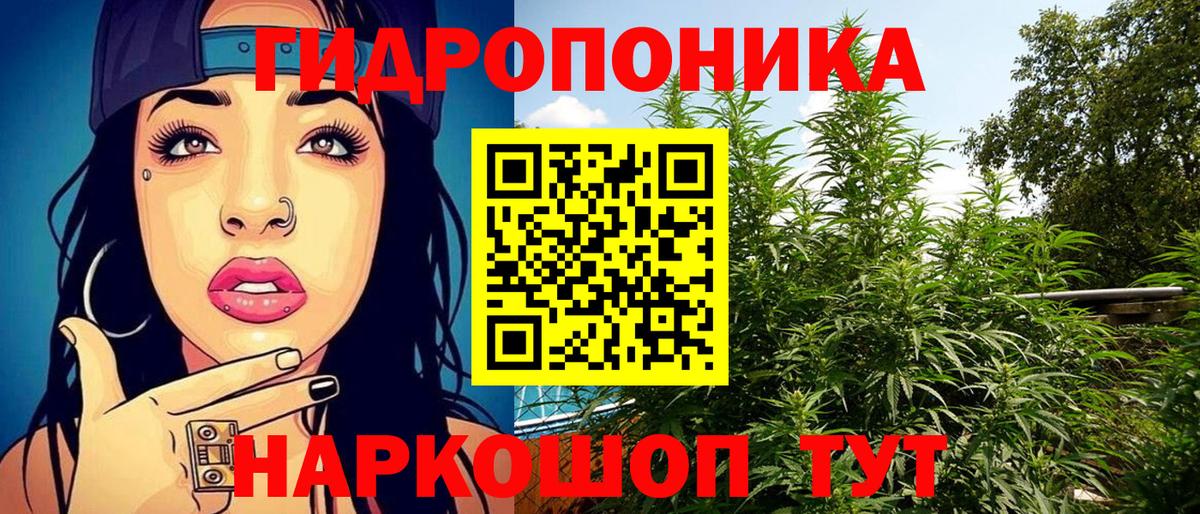 Конопля AK-47 Усть-Илимск